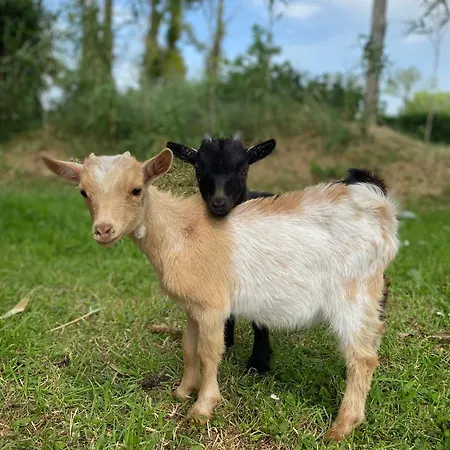 La Baragane Vakantiehuis Taillant