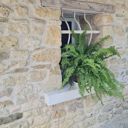 Vakantiehuis La Baragane